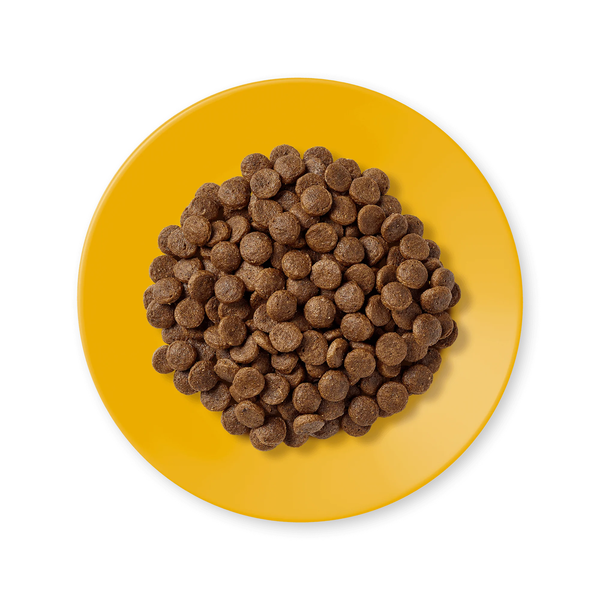 Applaws Chicken Dry Food for Adult Cats - Image 3