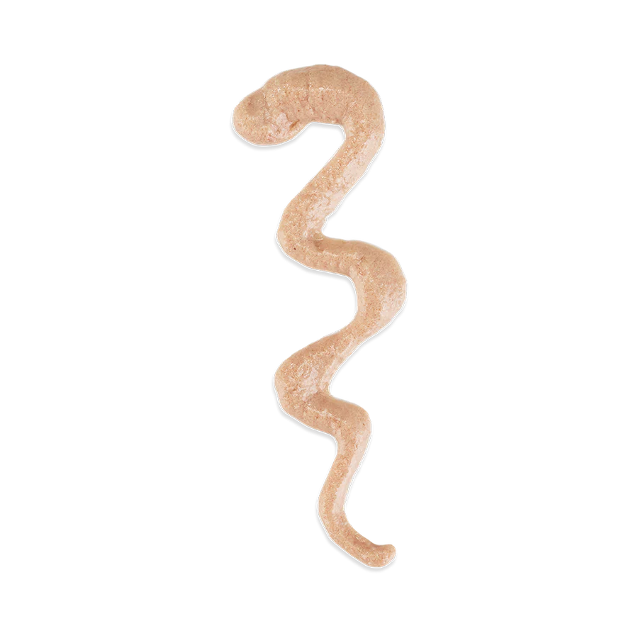 Schesir Creamy Stix with Chicken, Salmon & Duck for Adult Cats - Image 4