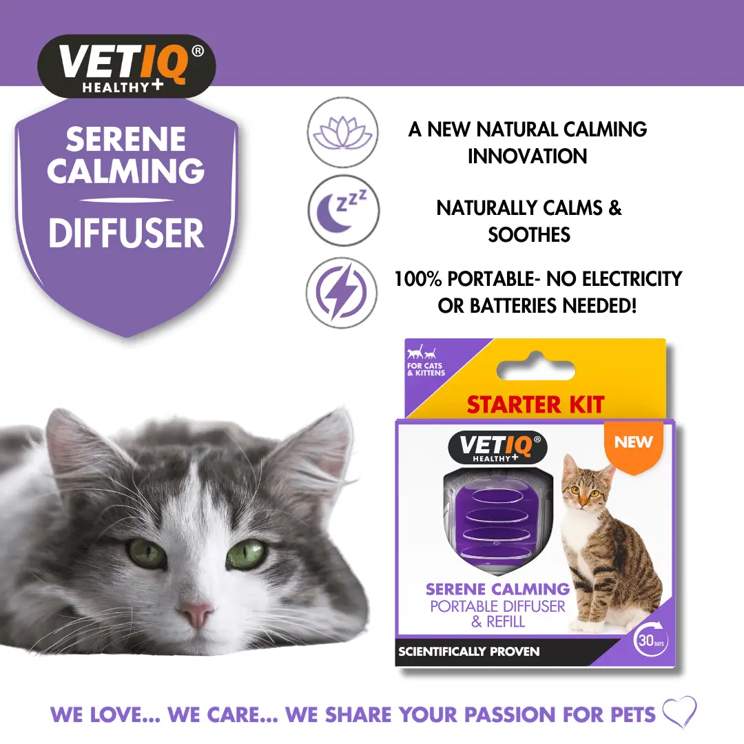 Mark & Chappell Serene Calming Diffuser Refill For Cats & Kittens 6ml