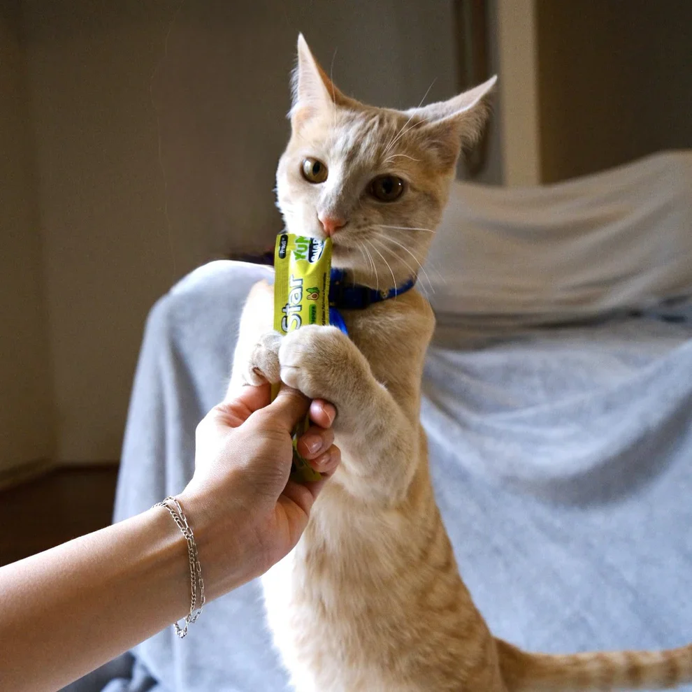 YumGuard Puree Treats for Cats Chicken and Papaya 14g X 6 - Image 2