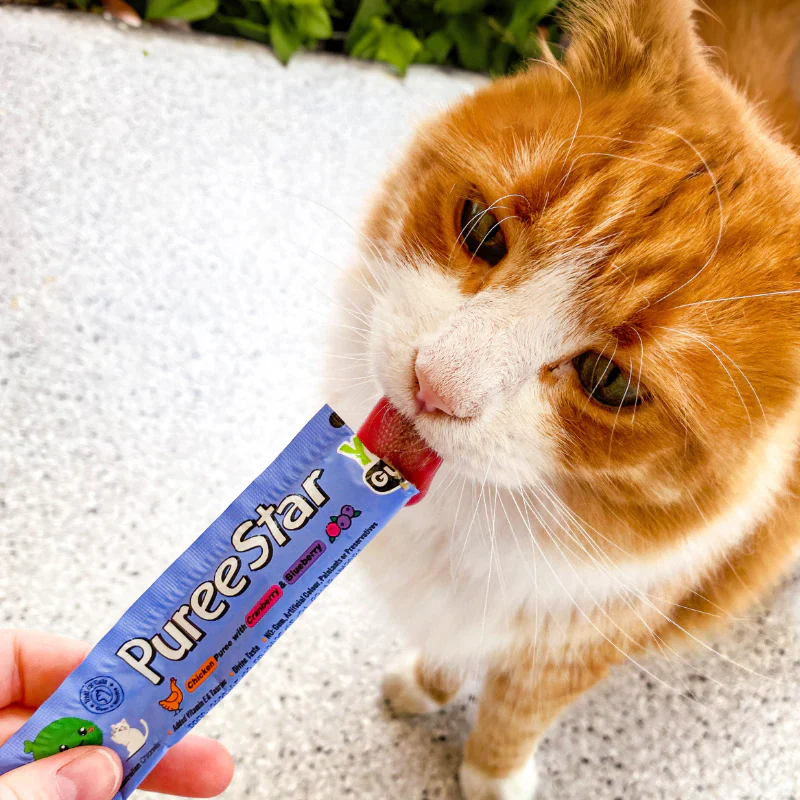 YumGuard Puree Treats for Cats Chicken Cranberry and Blueberry 14g X 6 - Image 2